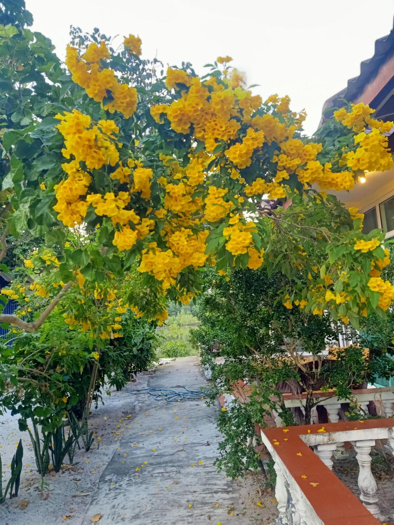 Sok San Villa Koh Rong Kaôh Rŭng Exterior foto